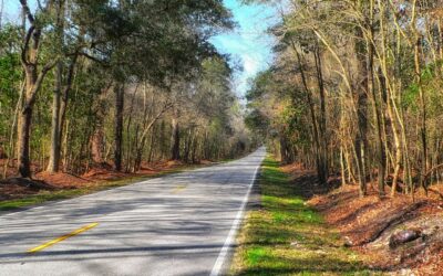 Master the Road with South Carolina Drivers Ed Online: Tailored for Teens!